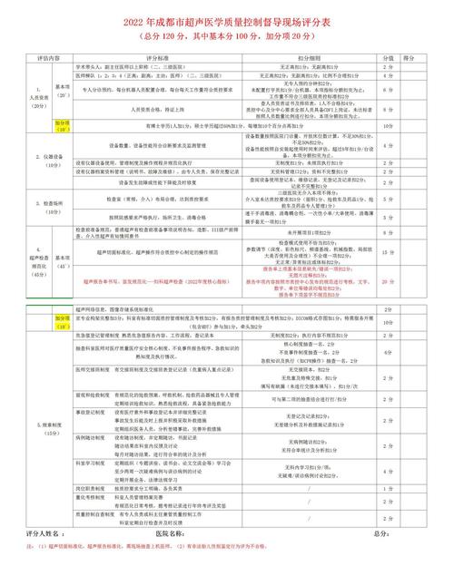 代码评分标准_管理人工质检
