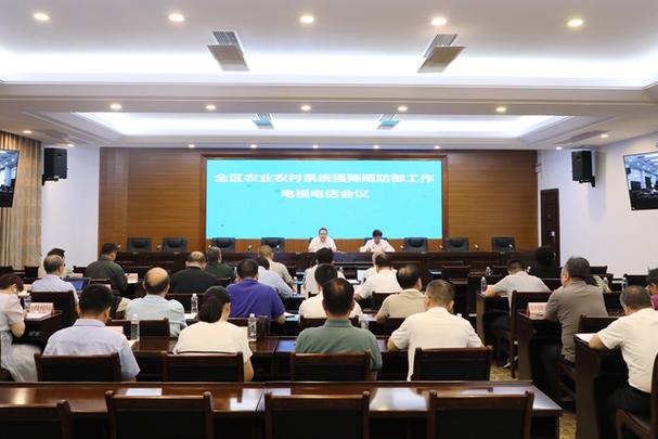 电话会议怎么用_会议模板怎么用