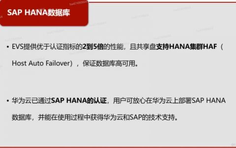 evs使用指南_云硬盘 EVS