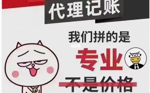 代记账公司_公司管理