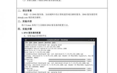 dns服务器配置实验报告_配置DNS