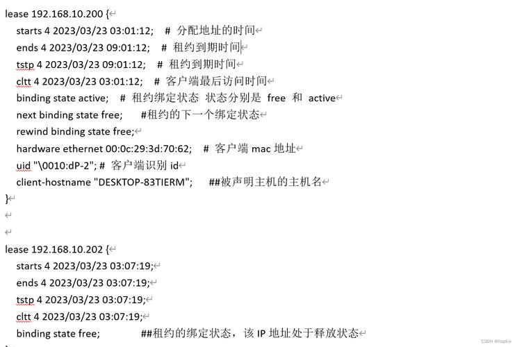 电脑启用dhcp服务器配置_修改DHCP配置项(可选