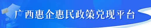 广西 网站建设_广西管局要求