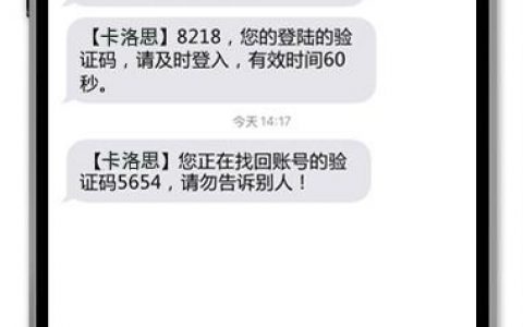 短信验证收发平台_发送短信验证码