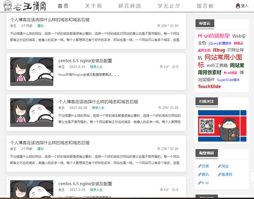 国内常见响应式网站_网站服务在国内如何设置加速网站域名?