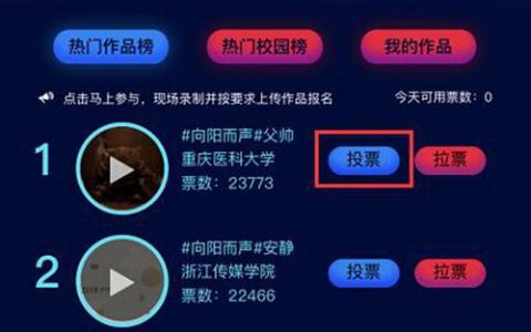大学生网站作品_投票