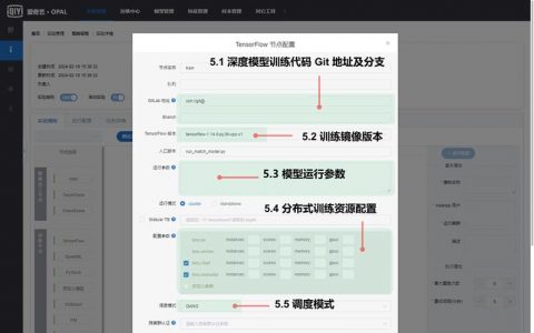 大数据 分析工具 _删除大key分析记录