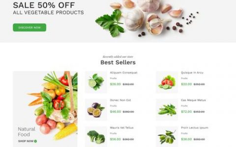 单品网站模板_网站模板设置