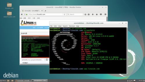 Debian主机版本_Debian