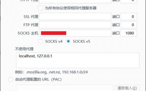 代理网络服务器_配置代理