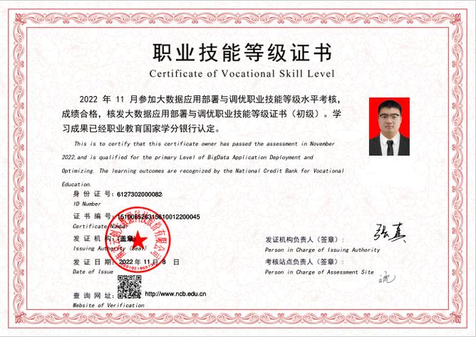 高级数据库系统工程师_高级服务工程师