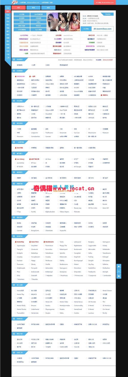 国内源码网站_网站服务在国内如何设置加速网站域名?