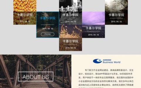 东莞静态网站制作_静态网站托管