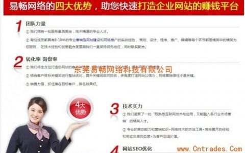 东莞网站建设推广公司_网站推广（SEO设置）