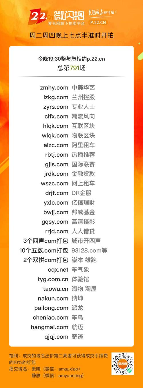 国外域名拍卖_使用咨询