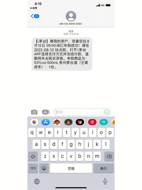 发付款成功短信的网站_配置短信外发