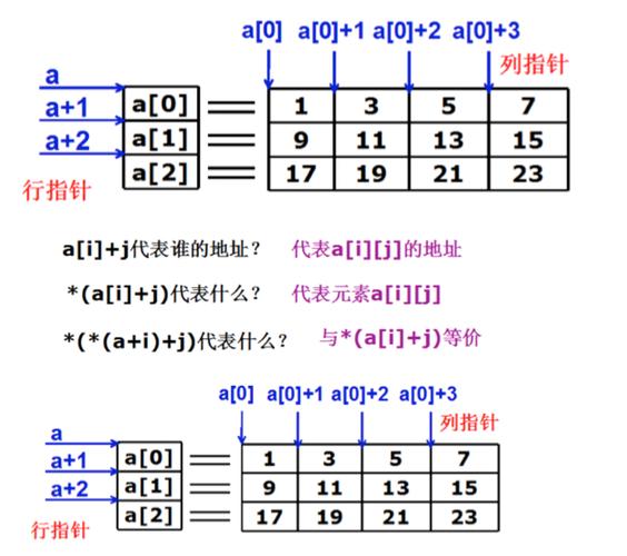 二维数组指针_数组