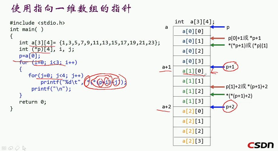 二维数组指针_数组