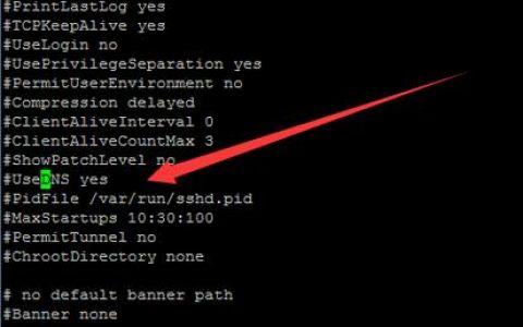 dns ssh代理服务器_开启UseDNS导致SSH连接缓慢怎么办？