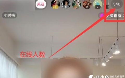 服务器想放在公司_查询直播播放在线人数