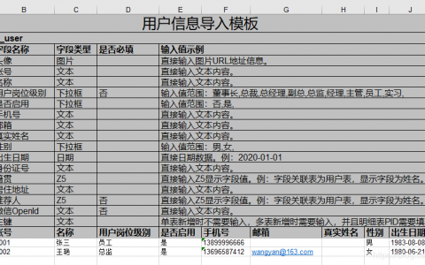 excel vba 访问云数据库_通过Excel导入数据