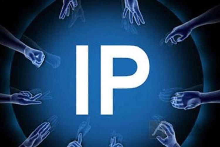 独立ip 香港主机_IPD独立软件类项目