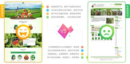 番禺网站优化平台_优化类