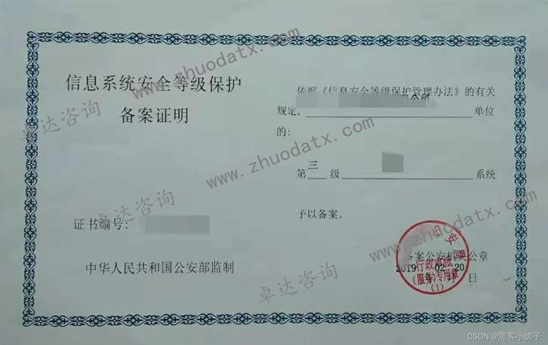 等保一级系统需要专家评审吗_等保问题