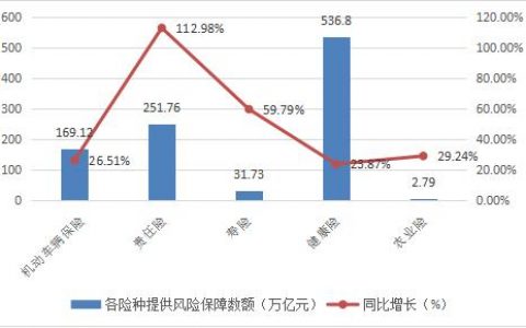 大数据时代保险分析_分析数据
