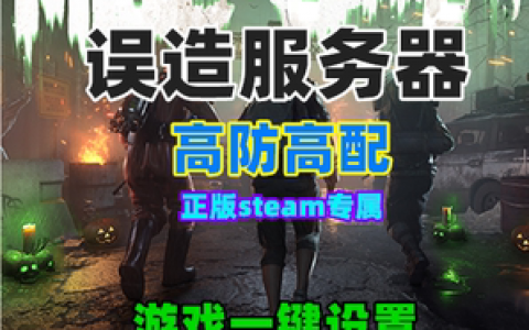 误造什么时候出国内服务器