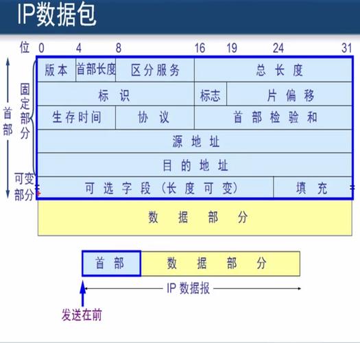 大数据 格式_数据包格式