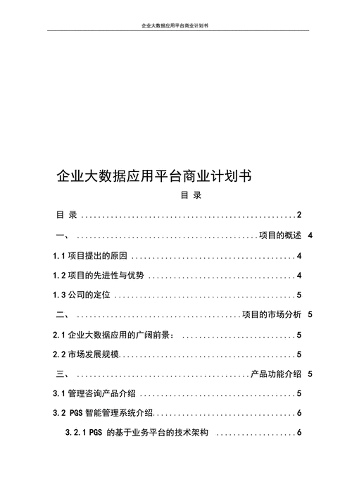 大数据商业服务_商业计划