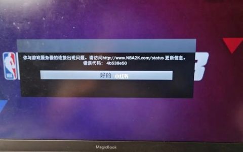为何2K公司未在中国设立服务器？
