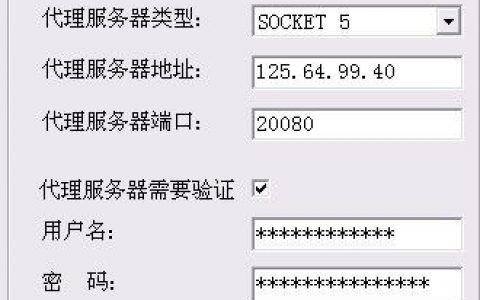 代理服务器地址的结构是怎样的？