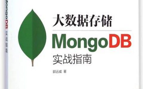 大数据存储mongodb实战指南_数据转发至MongoDB存储