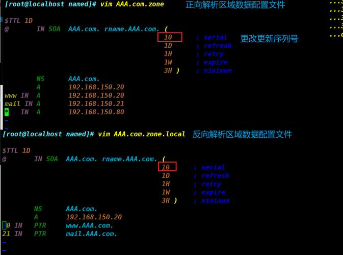 反向域名解析 命令_反向建模