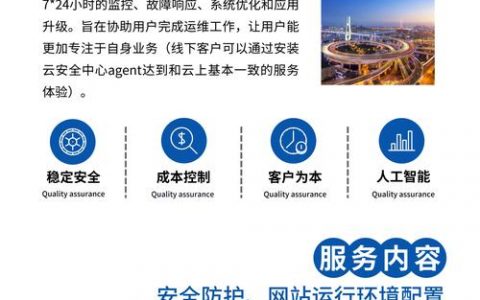 服务器代维公司_代维方式介绍