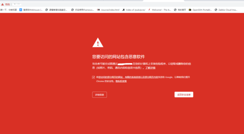 打开网站 输入内容存在危险字符_“网站内容”要求