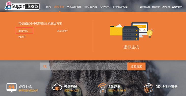 独立ip香港空间_IPD独立软件类项目