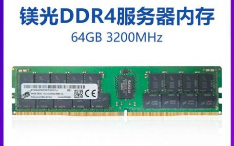 256GB内存的服务器能为哪些高需求场景提供支持？