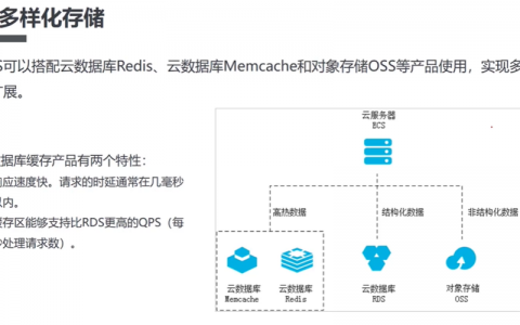 调取云服务器内存储的电子数据库_数据库存储
