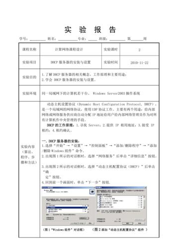 dhcp服务器的配置实验报告_实验报告