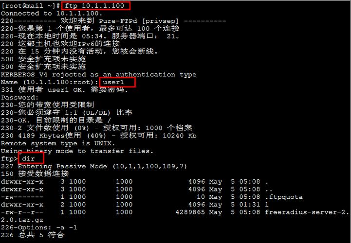ftp服务器共享多个盘_FTP