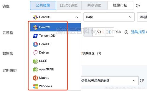 布置云服务器一般选择什么镜像
