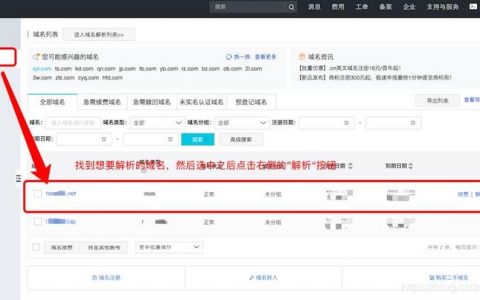 大云数据域名解析服务器_内网域名解析