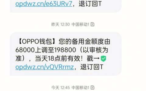 如何确认付款成功的短信已被正确发送？