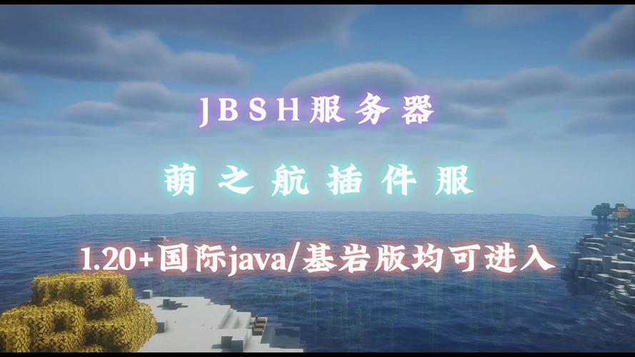一个纯净的服务器插件叫什么