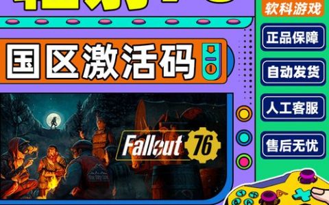 辐射76在Steam平台上是使用哪种服务器进行游戏的？