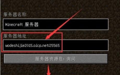 如何确定游戏服务器的IP地址？