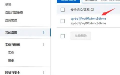 如何安全高效地将服务器数据和共享镜像发送给指定客户端和账号？